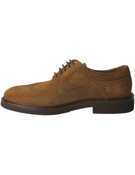 Blucher hombre Calce camel