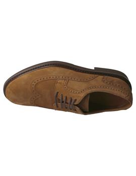 Blucher hombre Calce camel