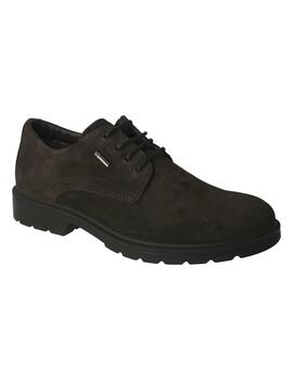Zapato hombre Gore-Tex Igi&Co marrón