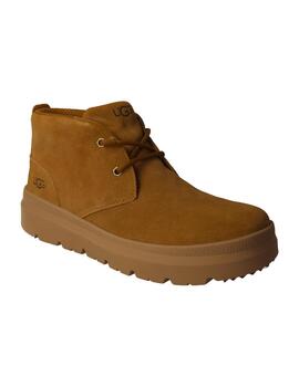 Botín hombre Waterproof Ugg Burleigh Chukka camel