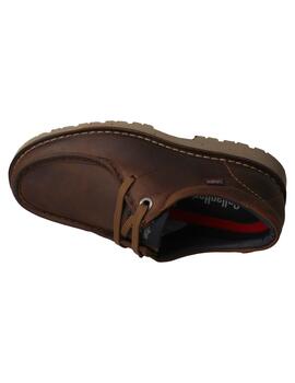 Zapato hombre Callaghan 55504 marrón