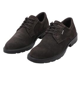 Zapato Tex hombre Imac marrón