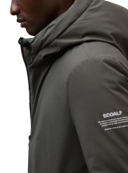 Gallery a08324 vjjcr2kp