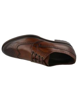 Zapato hombre Pertini marrón