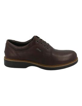 Zapato hombre Igi-Co marrón