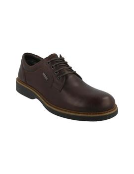 Zapato hombre Igi-Co marrón